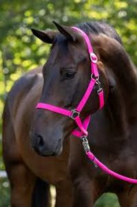 Hovedbilde Grime Hippo