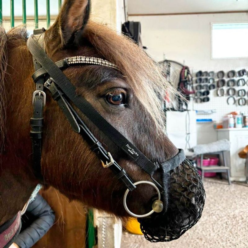 Pullernett Star Tack