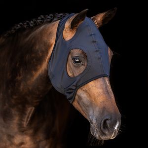 Hovedbilde Titanium maske