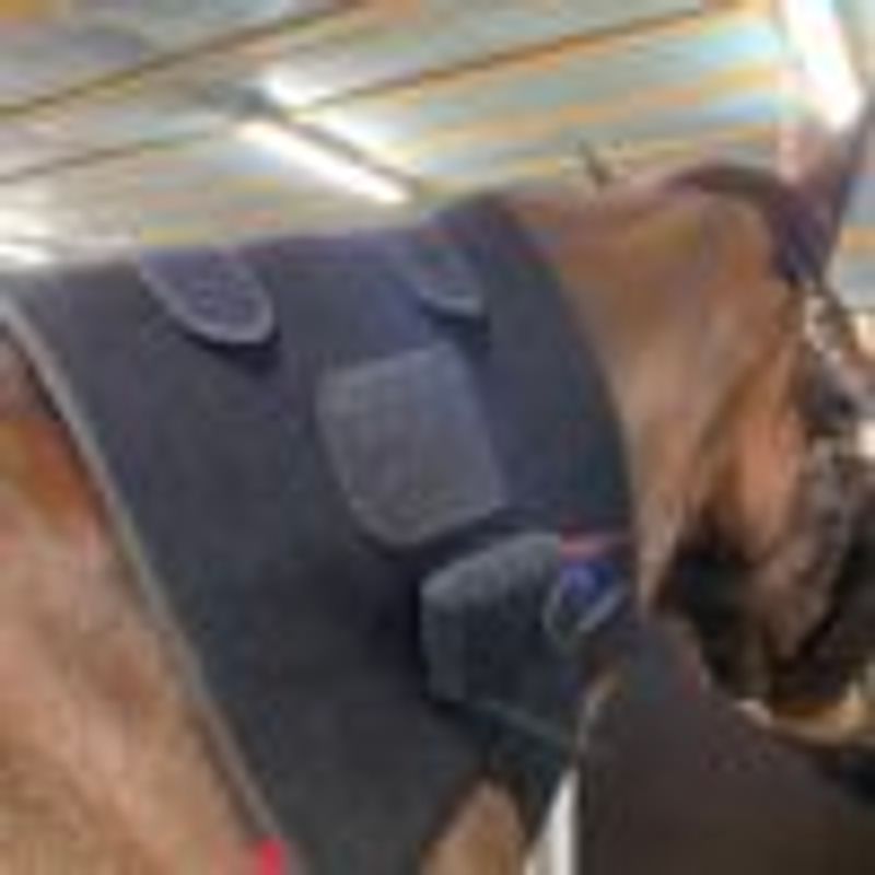 Riislund Light Therapy RED Pro 