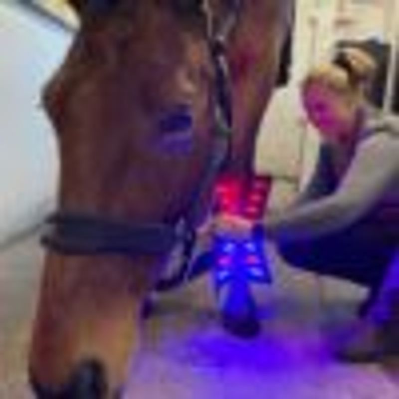 Riislund Light Therapy Blue