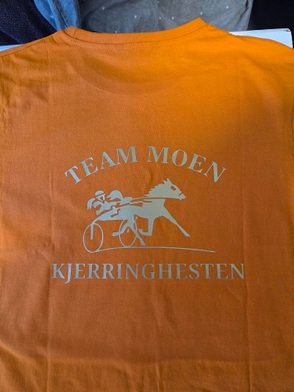 T-skjorte - VALGFRITT MOTIV